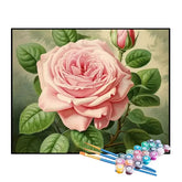 Kit de Pintura Numerada - Rosa Desabrochando