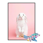 Kit de Pintura Numerada - Pequeno Coelhinho Branco