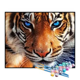 Kit de Pintura Numerada - Tigre