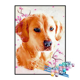 Kit de Pintura Numerada - Golden Retriever Artístico
