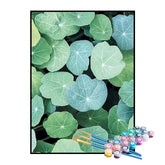 Kit de Pintura Numerada - Folhas de Capuchinha