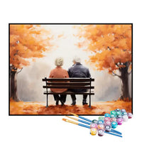 Kit de Pintura Numerada - Casal de Idosos no Parque