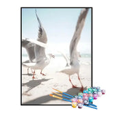 Kit de Pintura Numerada - Gaivotas na Praia