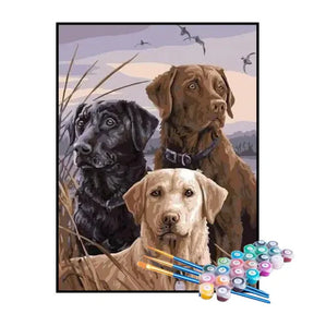 Kit de Pintura Numerada - Labradores