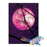 Kit de Pintura Numerada - O Brilho da Lua