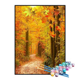 Kit de Pintura Numerada - Trilha no Outono