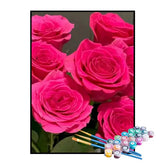 Kit de Pintura Numerada - Rosas Vibrantes