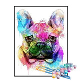 Kit de Pintura Numerada - Bulldog Psicodélico