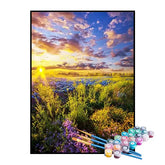 Kit de Pintura Numerada - Luz do Sol no Campo Florido