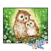 Kit de Pintura Numerada - Corujas: Mãe e Filha
