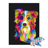 Kit de Pintura Numerada - Border Collie Abstrato