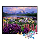 Kit de Pintura Numerada - Campos de Flores Coloridas