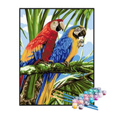 Kit de Pintura Numerada - Araras