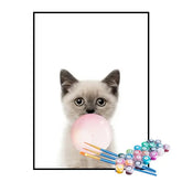 Kit de Pintura Numerada - Gato e Chiclete