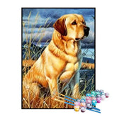 Kit de Pintura Numerada - Labrador no Campo