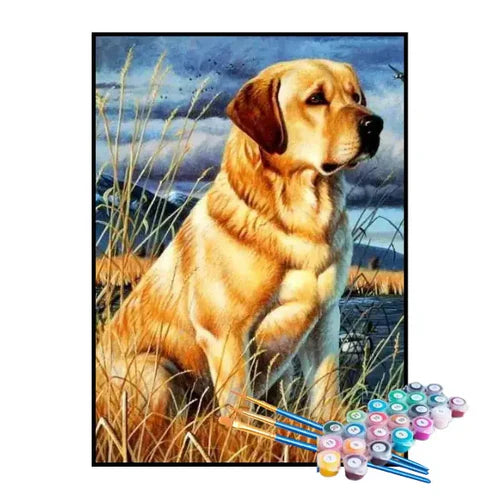 Kit de Pintura Numerada - Labrador no Campo