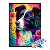 Kit de Pintura Numerada - Border Collie Abstrato