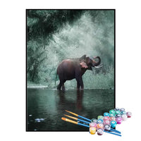 Kit de Pintura Numerada - Elefante Caminhando na Água