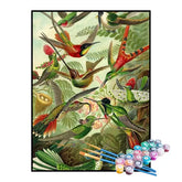 Kit de Pintura Numerada - Beija-flores de Ernst Haeckel