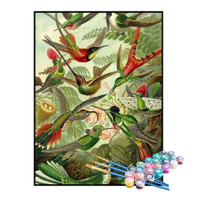 Kit de Pintura Numerada - Beija-flores de Ernst Haeckel