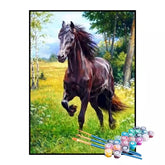 Kit de Pintura Numerada - Galope na Campina (KIT PROMOCIONAL)