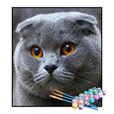 Kit de Pintura Numerada - Gato de Olhos de Âmbar (KIT PROMOCIONAL)