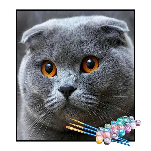 Kit de Pintura Numerada - Gato de Olhos de Âmbar (KIT PROMOCIONAL)