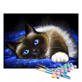 Kit de Pintura Numerada - Gato de Olhos Azuis (KIT PROMOCIONAL)